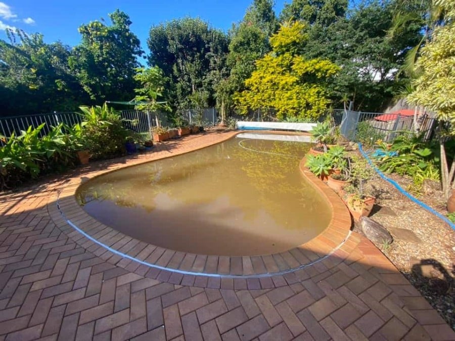 آب استخر قهوه ای